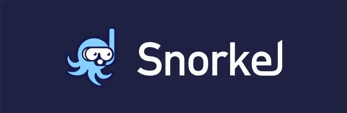 Case Study: Snorkel AI - An Ambitious AI Startup That Faced Challenges