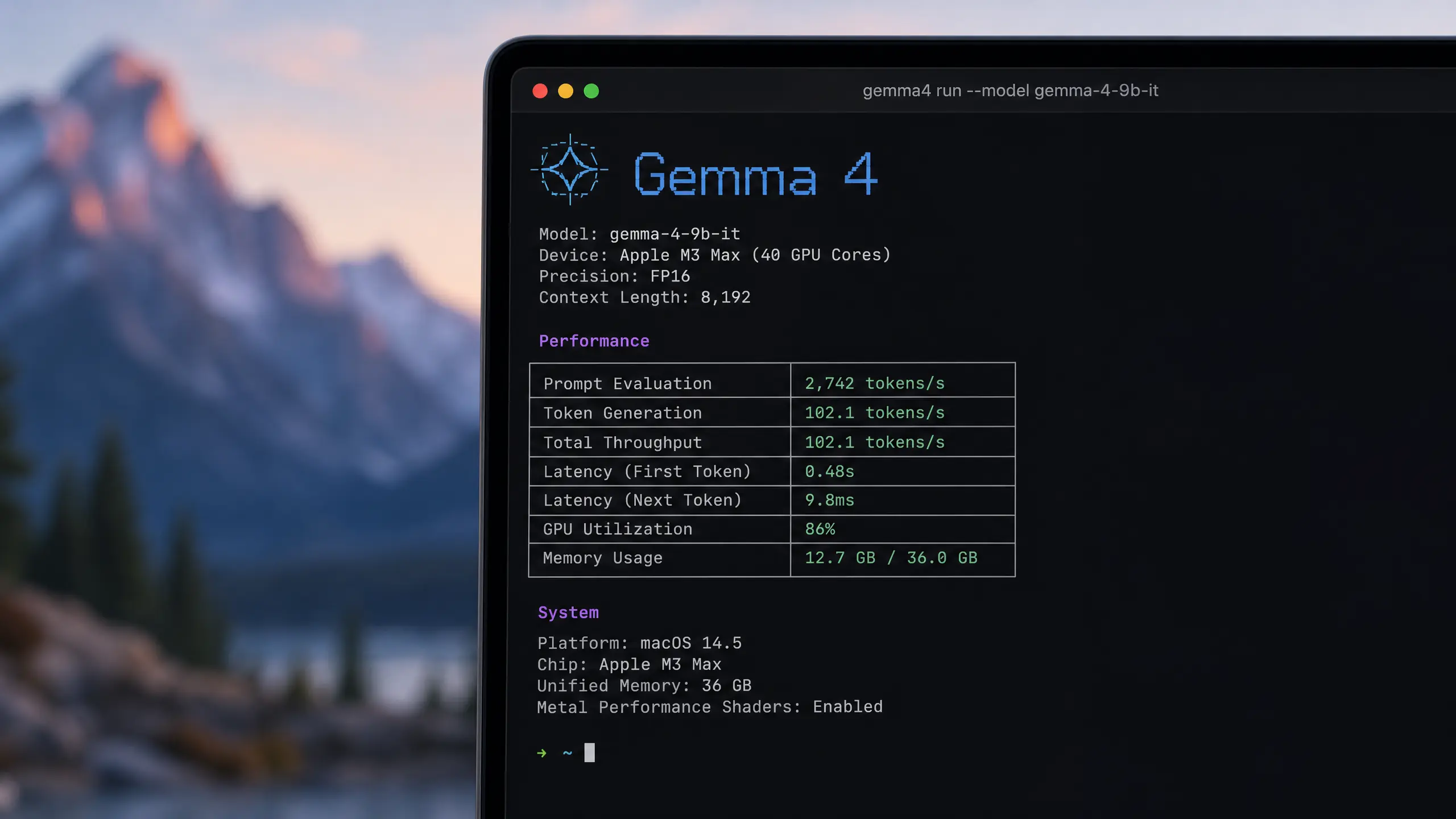 Application Image for Offline Vibe Coding Gemma